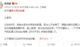 孙燕姿直播爆料最新消息,最新消息揭秘！