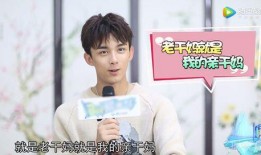 吃瓜娱乐圈吴磊是谁,娱乐圈的青春偶像，吃瓜群众心中的“小鲜肉”